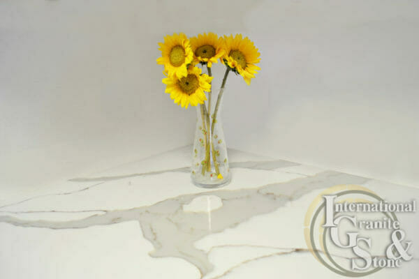 Quartz Countertops Tampa